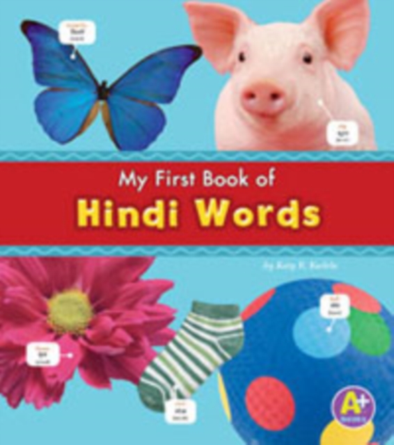 Hindi Words, Paperback / softback Book