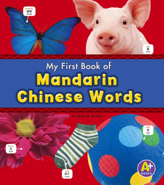 Mandarin Chinese Words, PDF eBook