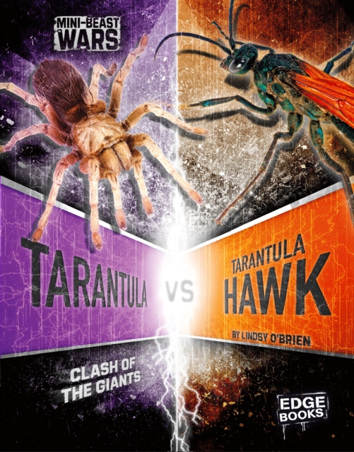 Tarantula vs Tarantula Hawk : Clash of the Giants, Hardback Book