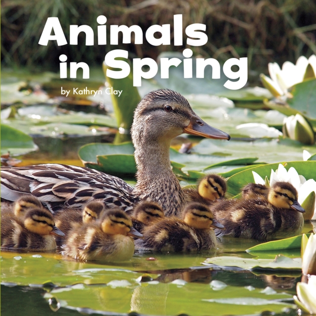 Animals in Spring, Paperback / softback Book