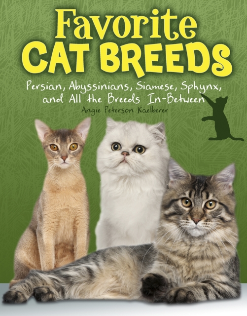 Favourite Cat Breeds : Persians, Abyssinians, Siamese, Sphynx, and all the Breeds In-Between, Hardback Book