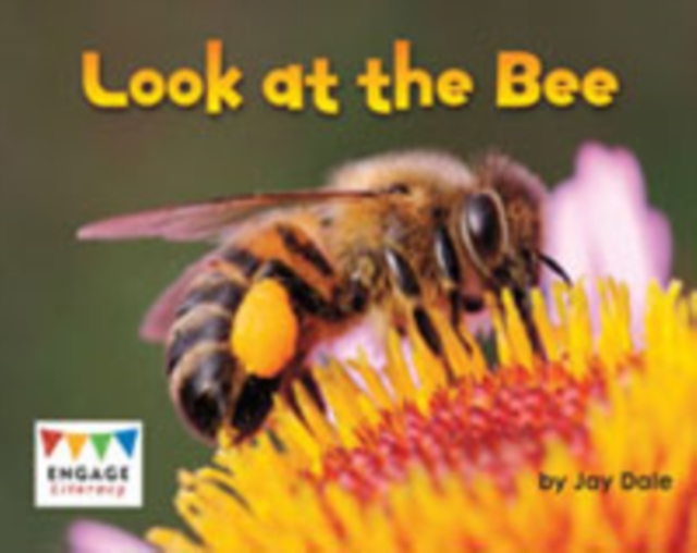Look at the Bee, Multiple copy pack Book