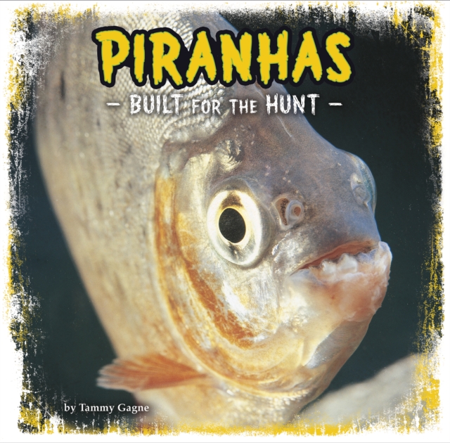 Piranhas : Built for the Hunt, Hardback Book