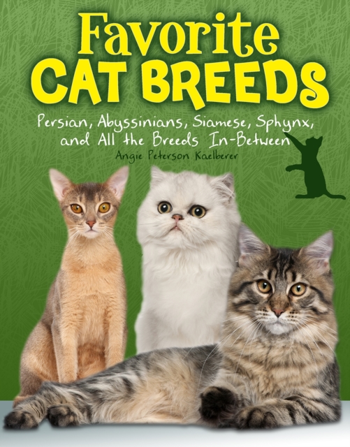 Favourite Cat Breeds : Persians, Abyssinians, Siamese, Sphynx, and all the Breeds In-Between, Paperback / softback Book