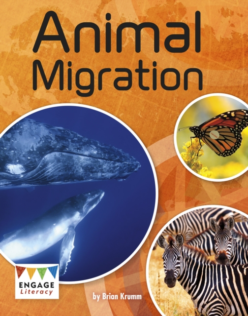 Animal Migration, PDF eBook