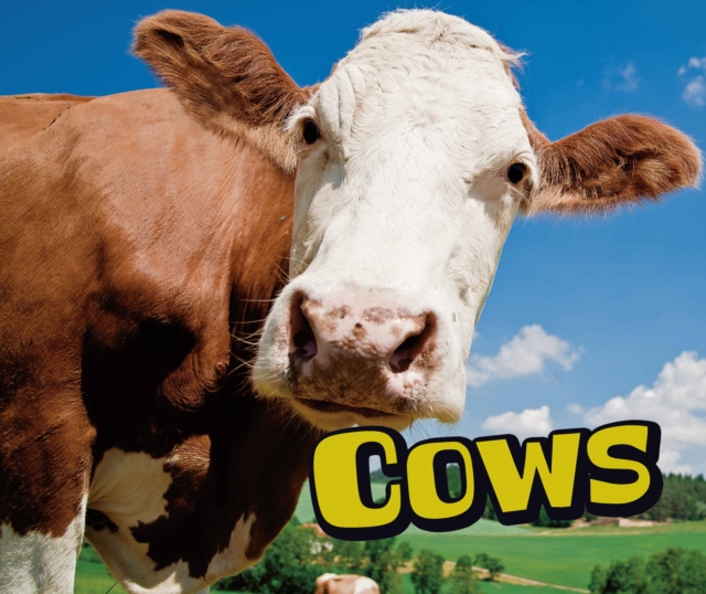 Cows, Paperback / softback Book