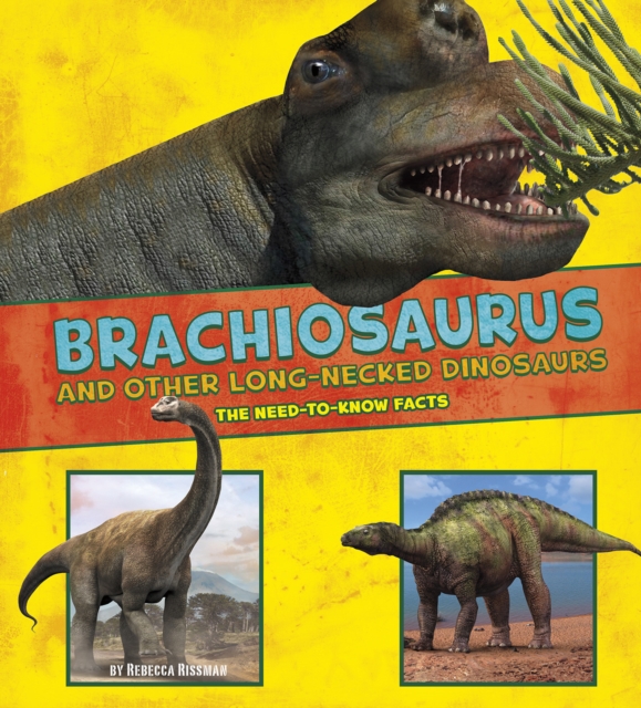 Brachiosaurus and Other Big Long-Necked Dinosaurs : The Need-to-Know Facts, Paperback / softback Book
