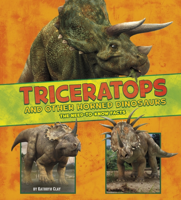 Triceratops and Other Horned Dinosaurs : The Need-to-Know Facts, Paperback / softback Book