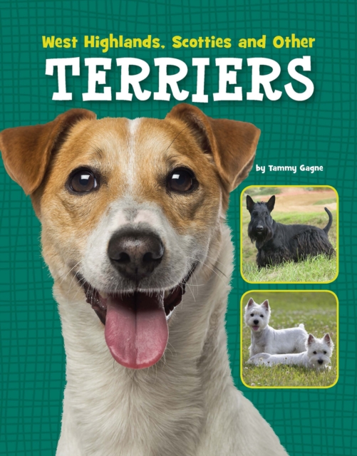 West Highlands, Scotties and Other Terriers, Hardback Book