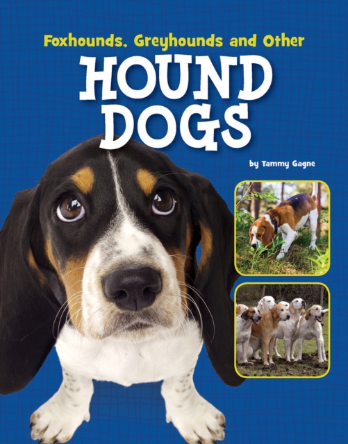 Foxhounds, Greyhounds and Other Hound Dogs, Paperback / softback Book
