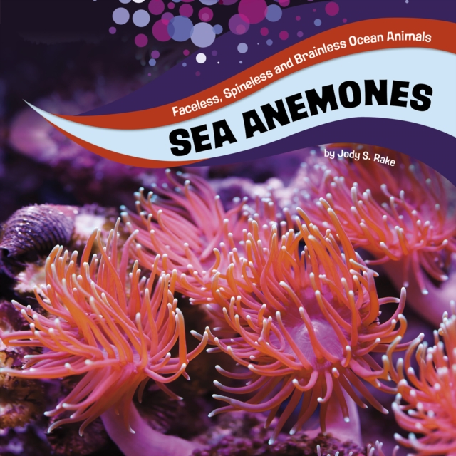 Sea Anemones, Hardback Book