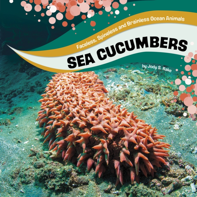 Sea Cucumbers, Hardback Book