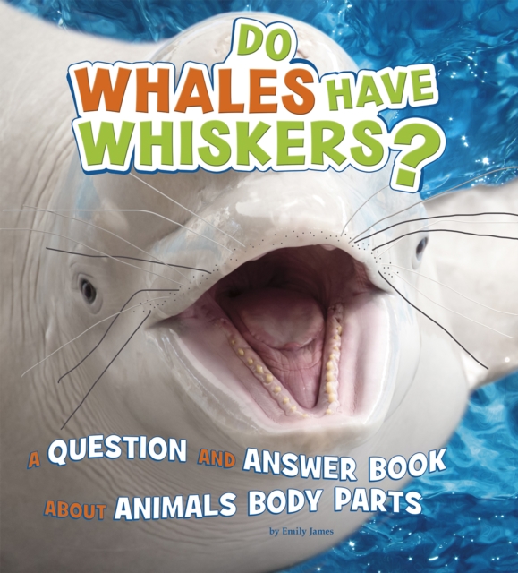 Do Whales Have Whiskers? : A Question and Answer Book about Animal Body Parts, Paperback / softback Book