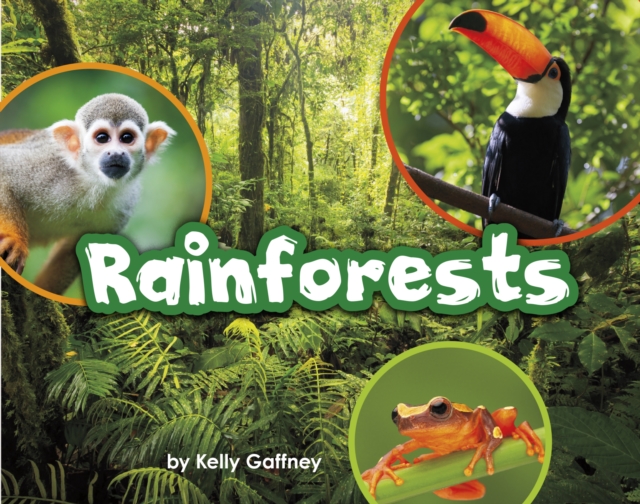 Rainforests, PDF eBook