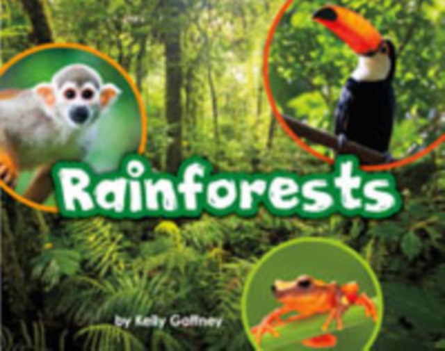 Rainforests, Multiple copy pack Book