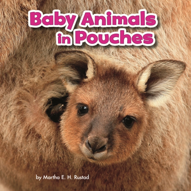 Baby Animals in Pouches, Hardback Book