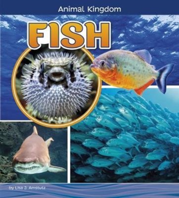 Fish, Hardback Book