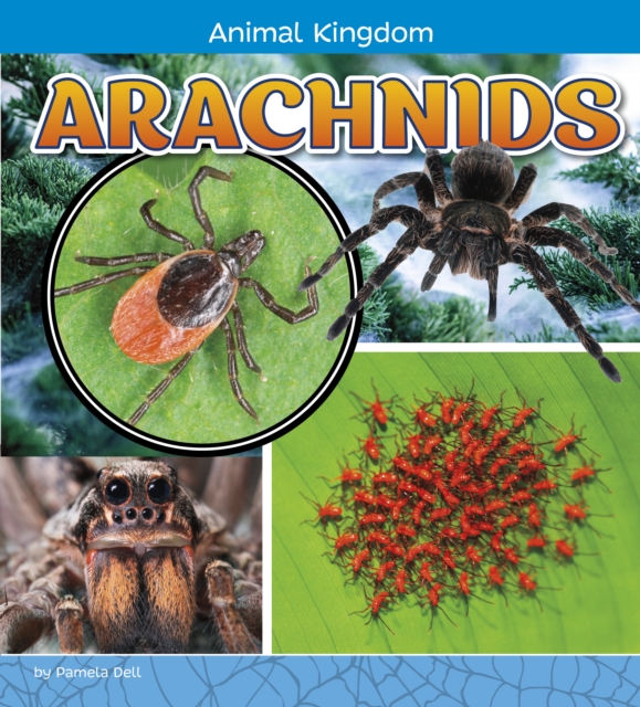 Arachnids, Paperback / softback Book