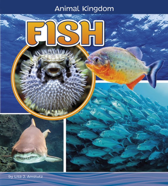 Fish, Paperback / softback Book