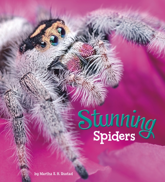 Stunning Spiders, Hardback Book