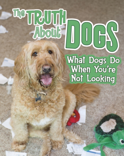 The Truth About Dogs : What Dogs Do When You're Not Looking, Hardback Book