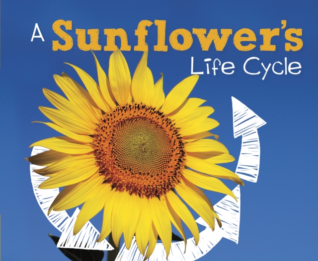 A Sunflower's Life Cycle, Hardback Book