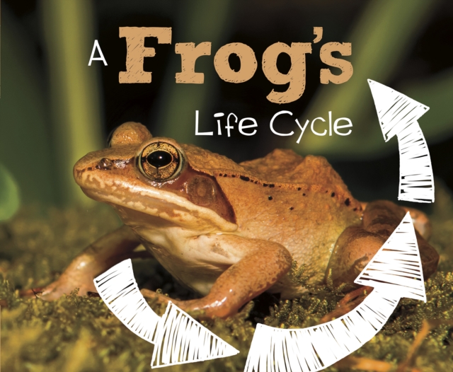 A Frog's Life Cycle, Hardback Book
