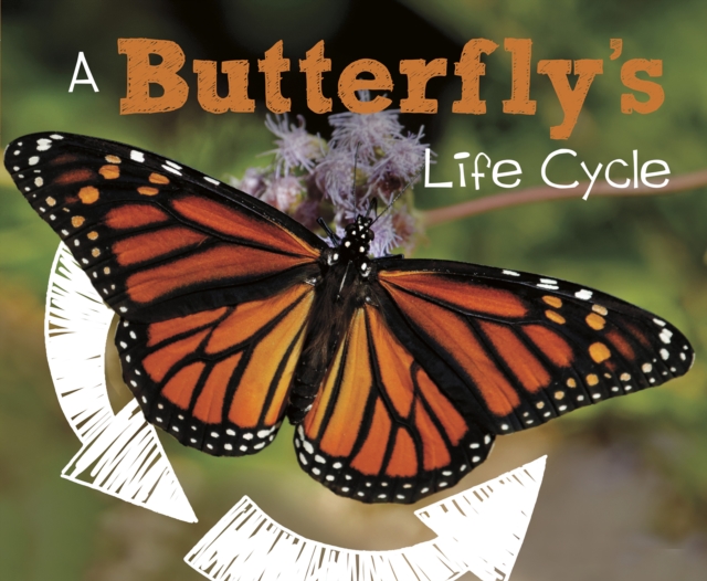 A Butterfly's Life Cycle, Hardback Book