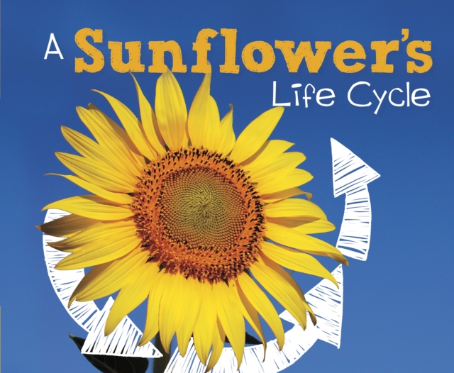 A Sunflower's Life Cycle, PDF eBook