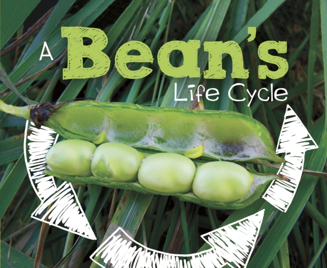 A Bean's Life Cycle, PDF eBook