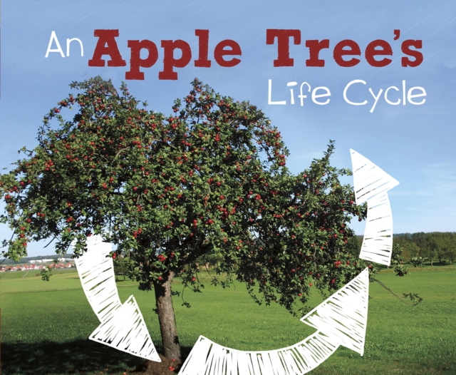 An Apple Tree's Life Cycle, PDF eBook