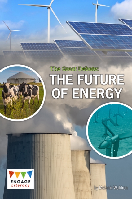 The Great Debate : The Future of Energy, PDF eBook