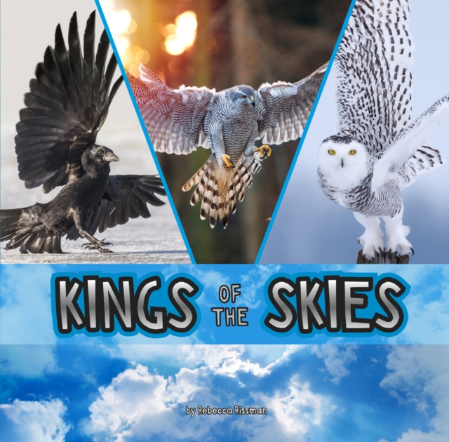 Kings of the Skies, Hardback Book
