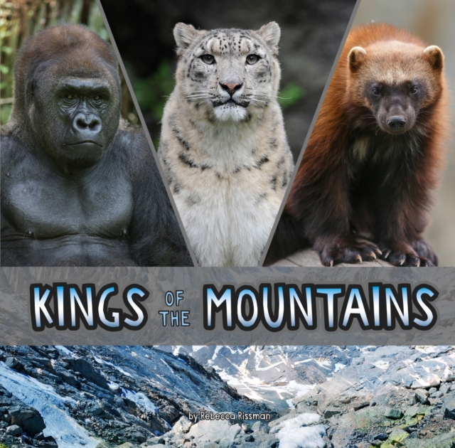 Kings of the Mountains, PDF eBook