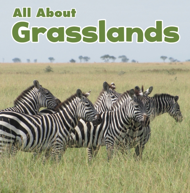All About Grasslands, Paperback / softback Book