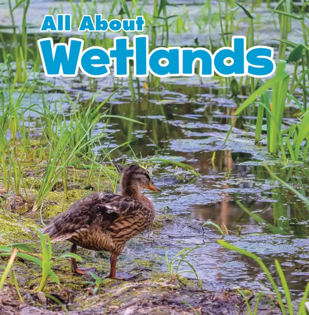 All About Wetlands, Paperback / softback Book