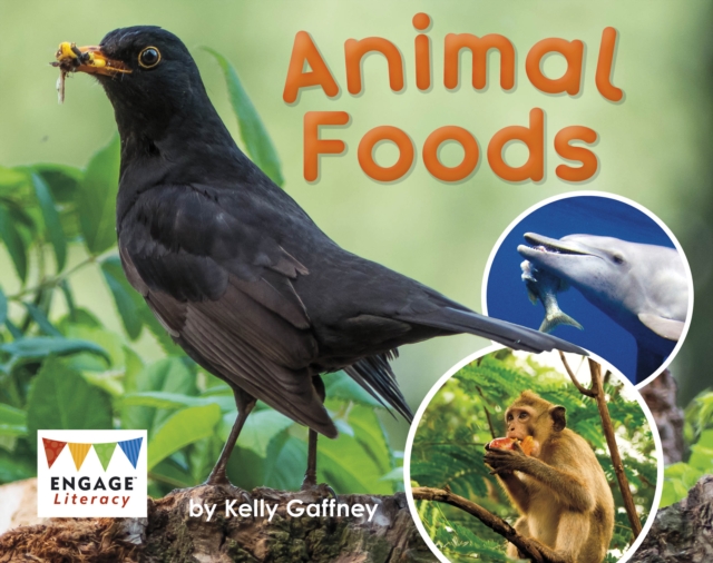 Animal Foods, Paperback / softback Book