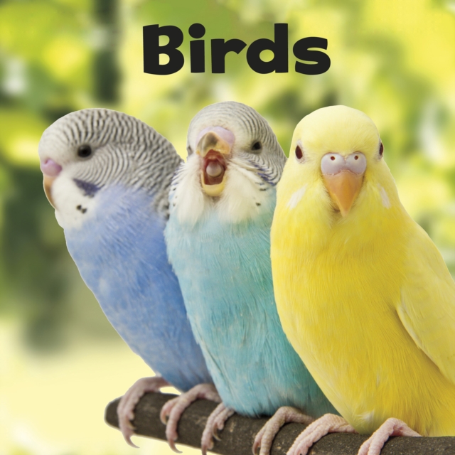 Birds, Hardback Book