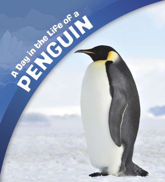 A Day in the Life of a Penguin, Paperback / softback Book