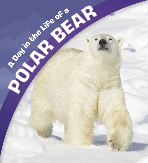 A Day in the Life of a Polar Bear, PDF eBook
