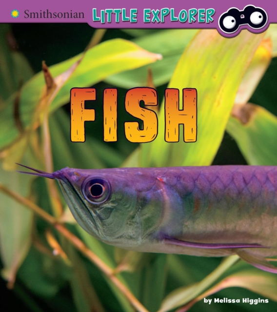 Fish, Hardback Book