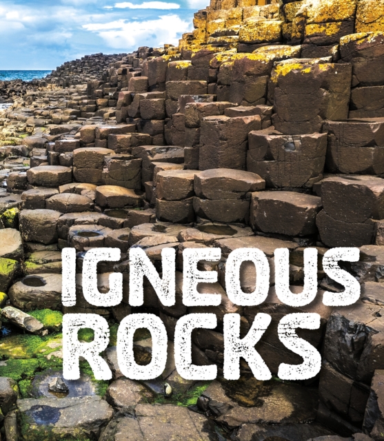 Igneous Rocks, Paperback / softback Book