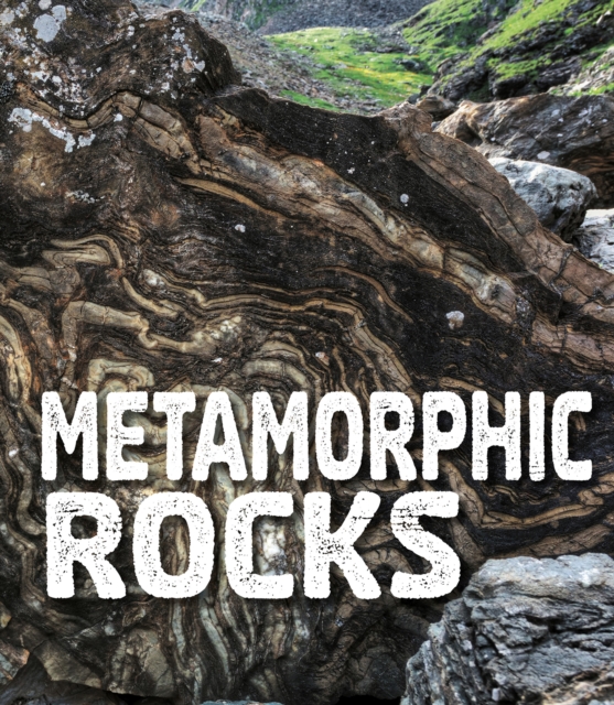 Metamorphic Rocks, PDF eBook