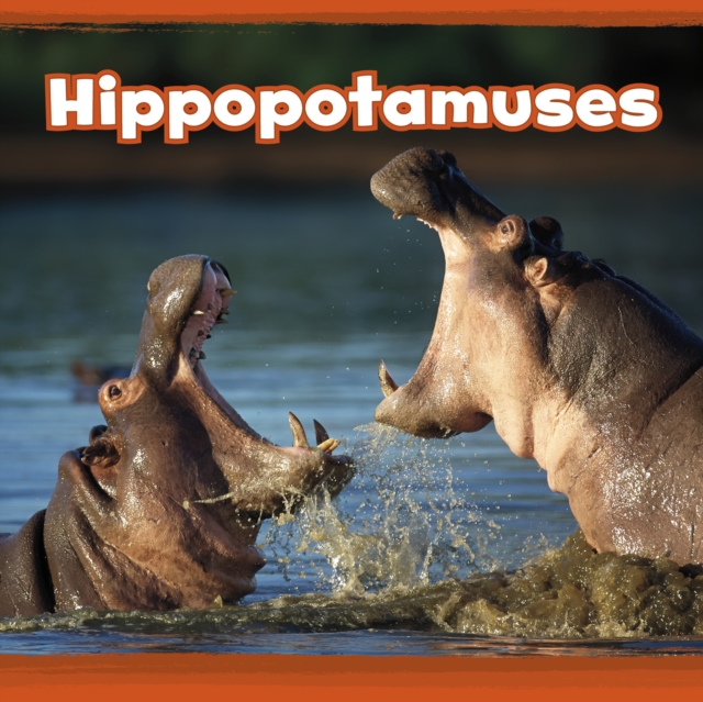 Hippopotamuses, Hardback Book