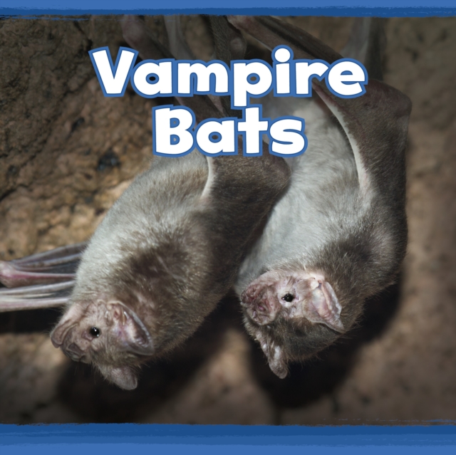 Vampire Bats, Hardback Book