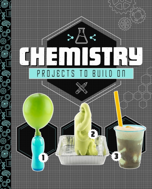 Chemistry Projects to Build On, PDF eBook