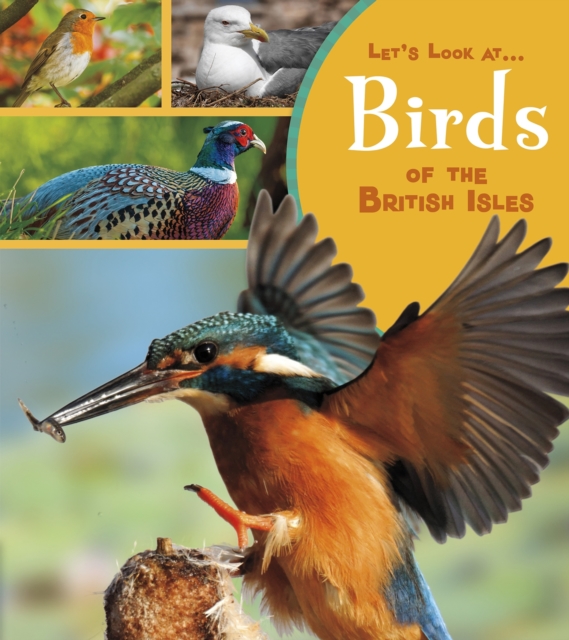 Birds of the British Isles, Paperback / softback Book