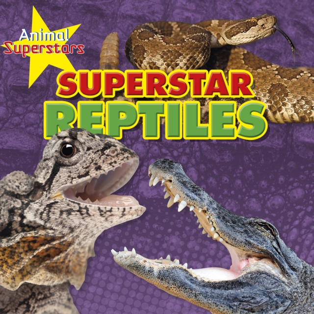 Reptile Superstars, Hardback Book