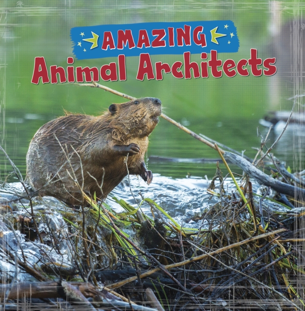 Amazing Animal Architects, Paperback / softback Book