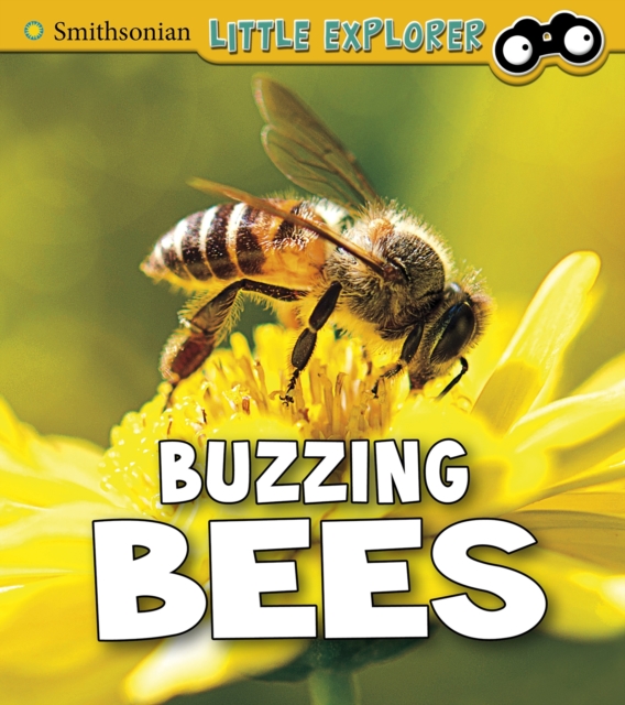 Buzzing Bees, Hardback Book